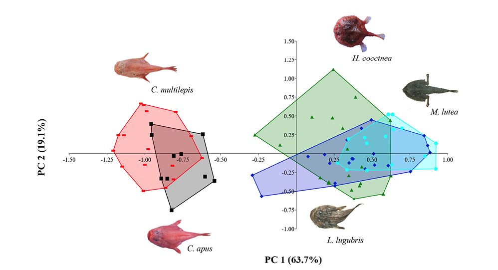 figure6