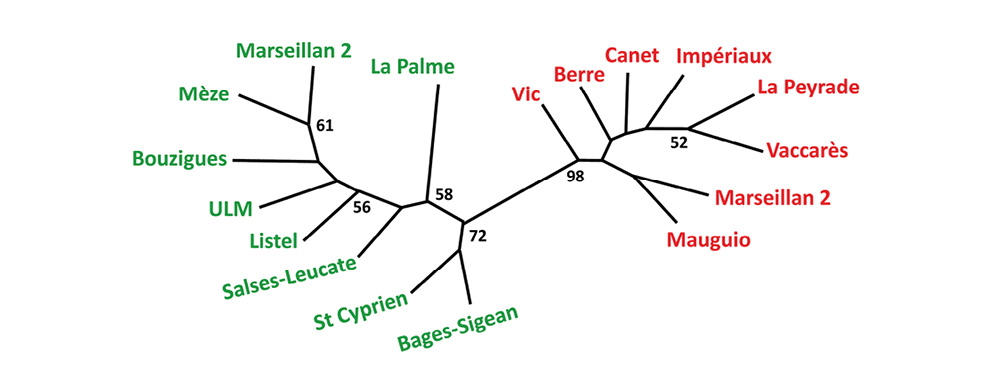figure4