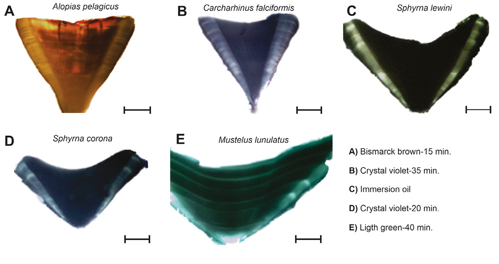 figure2