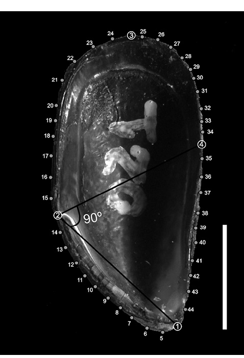 figure2