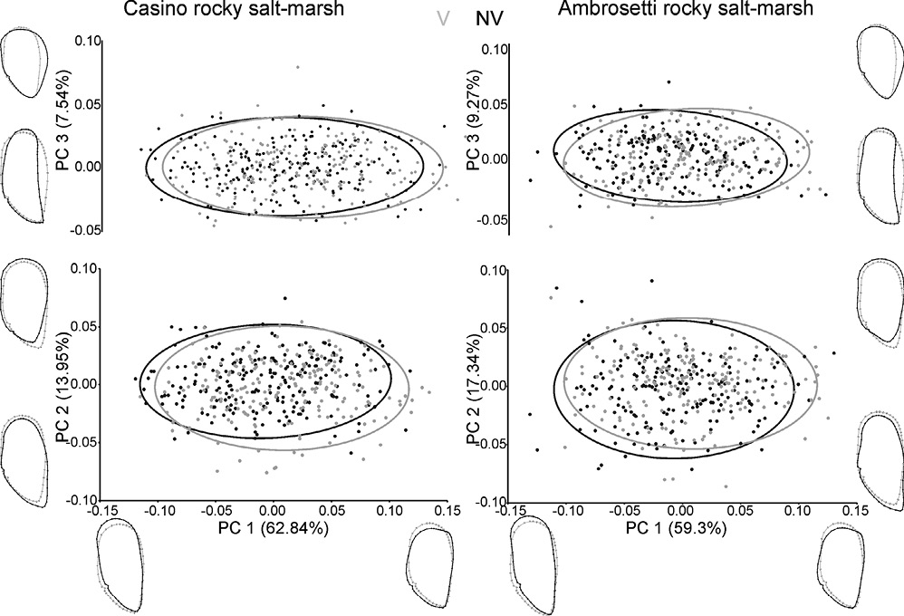 figure5
