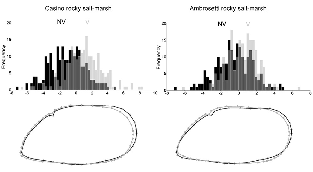 figure6