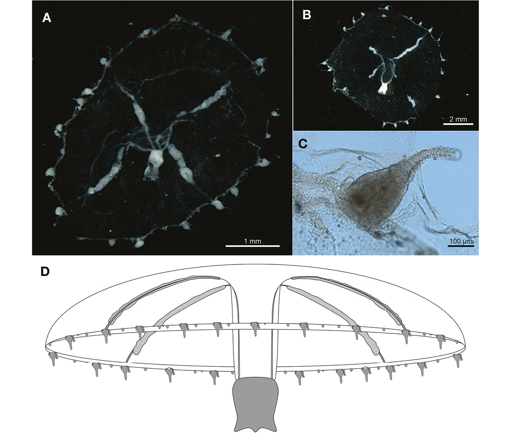 figure2