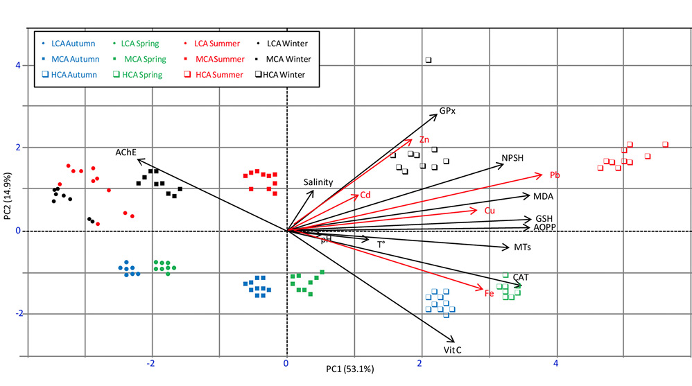 figure4