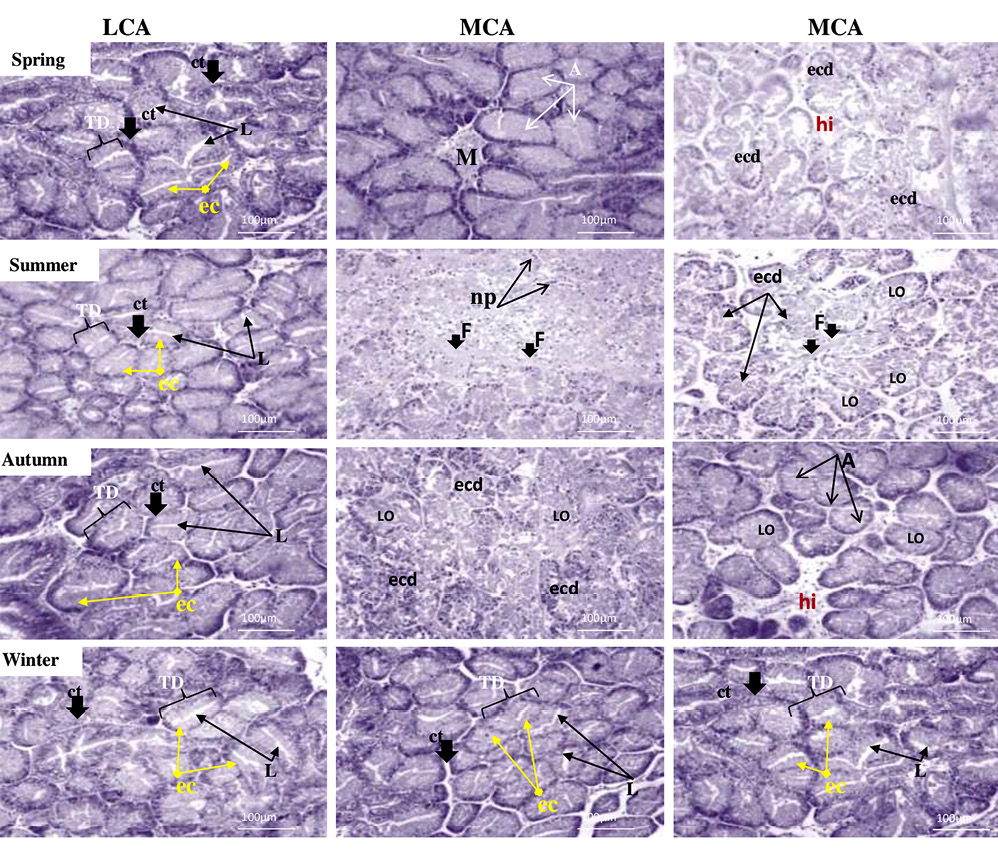 figure6
