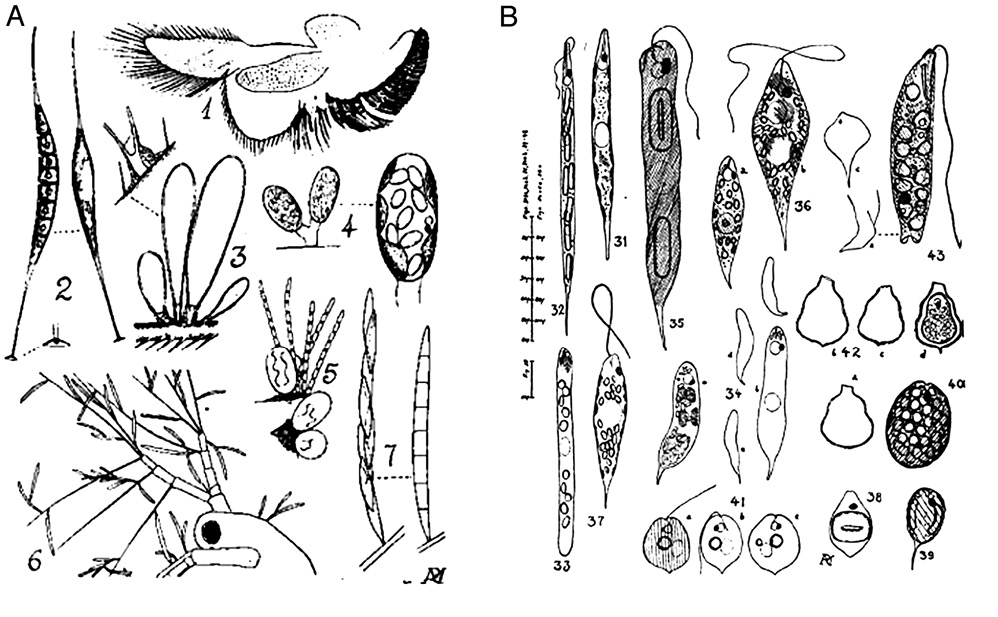 figure4