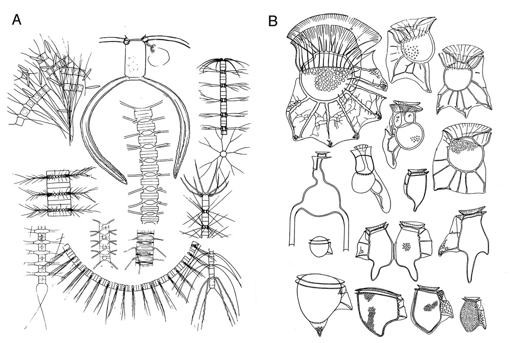 figure5