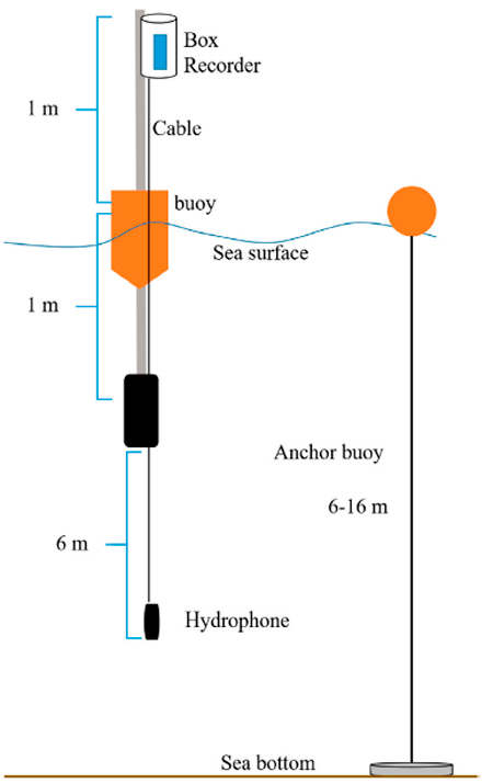 medium/medium-SCIMAR-85-01-e001-gf2.png