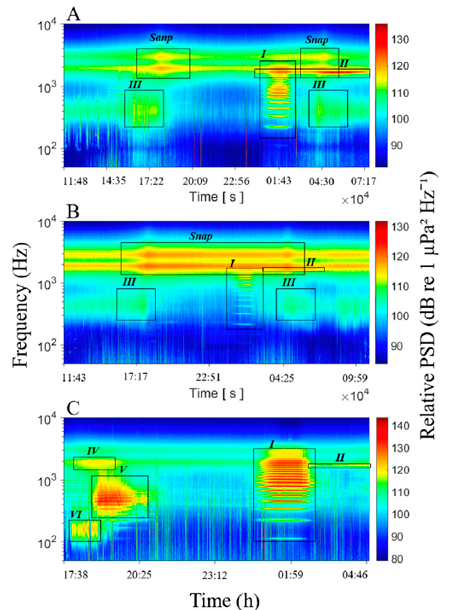 medium/medium-SCIMAR-85-01-e001-gf3.png