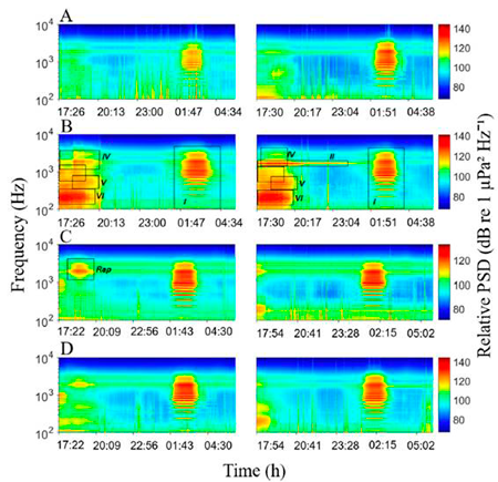 medium/medium-SCIMAR-85-01-e001-gf5.png