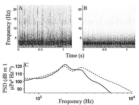 medium/medium-SCIMAR-85-01-e001-gf6.png