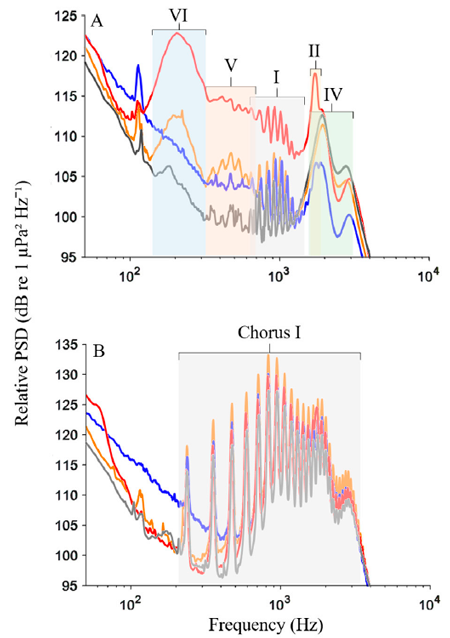 medium/medium-SCIMAR-85-01-e001-gf7.png