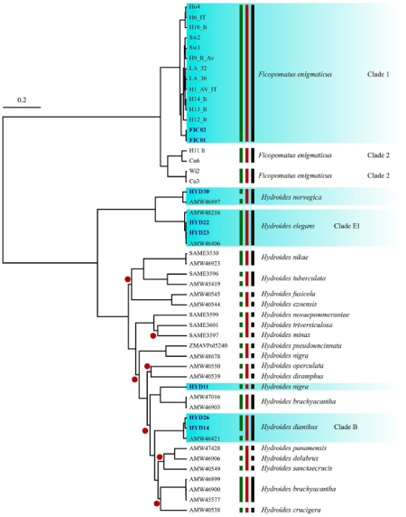 medium/medium-SCIENTIA_MARINA-85-01-15-gf5.png