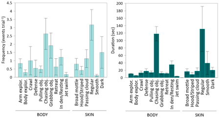 medium/medium-SCIMAR-85-01-e003-gf1.png