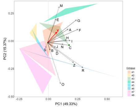medium/medium-SCIMAR-85-01-e003-gf4.png