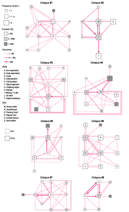 medium/medium-SCIMAR-85-01-e003-gf3.png