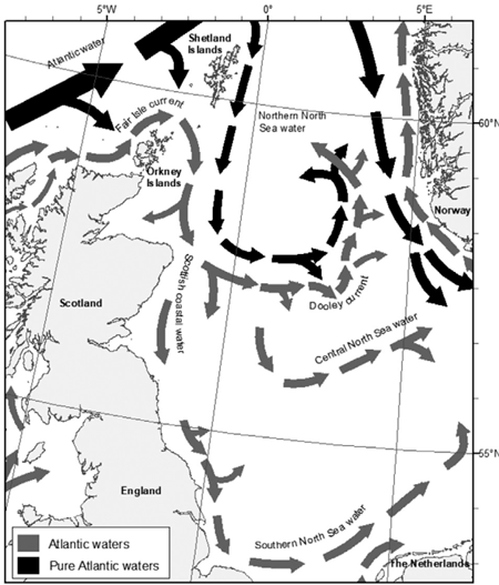 medium/medium-SCIMAR-85-01-e005-gf1.png
