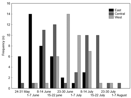 medium/medium-SCIMAR-85-02-e006-gf4.png