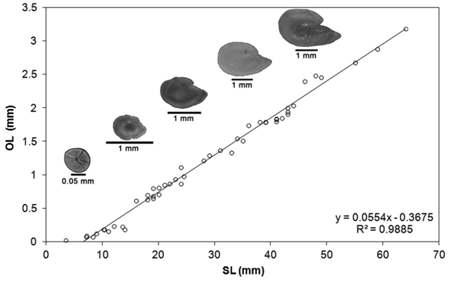 medium/medium-SCIMAR-85-02-e007-gf2.png