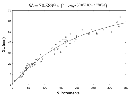 medium/medium-SCIMAR-85-02-e007-gf5.png