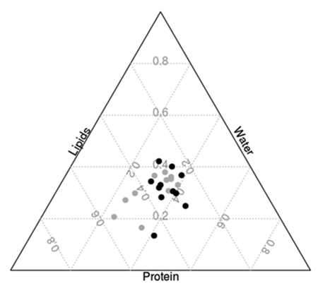 medium/medium-SCIMAR-85-02-e008-gf3.png