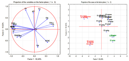 medium/medium-SCIMAR-85-02-e009-gf4.png