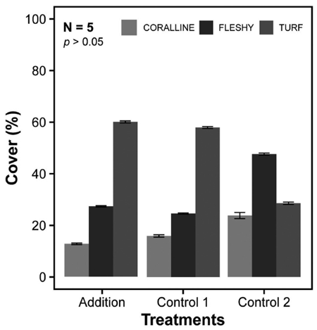 medium/medium-SCIMAR-85-02-e013-gf3.png