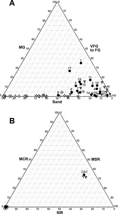 medium/medium-SCIMAR-85-04-e020-gf5.png