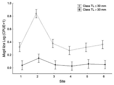 medium/medium-SCIMAR-85-04-e021-gf4.png