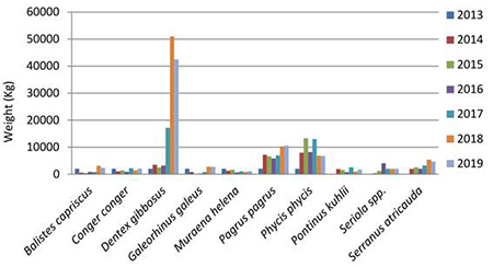 medium/medium-SCIMAR-85-04-e022-gf3.png