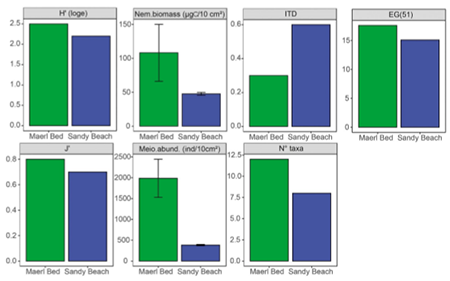 medium/medium-SCIMAR-86-01-e024-gf4.png