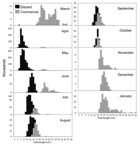 medium/medium-SCIMAR-86-01-e025-gf4.png