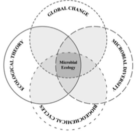 medium/medium-SCIMAR-86-01-e026-gf1.png