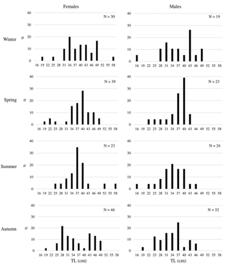 medium/medium-SCIMAR-86-02-e033-gf2.png