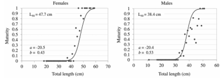 medium/medium-SCIMAR-86-02-e033-gf6.png