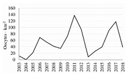 medium/medium-SCIMAR-86-02-e033-gf11.png