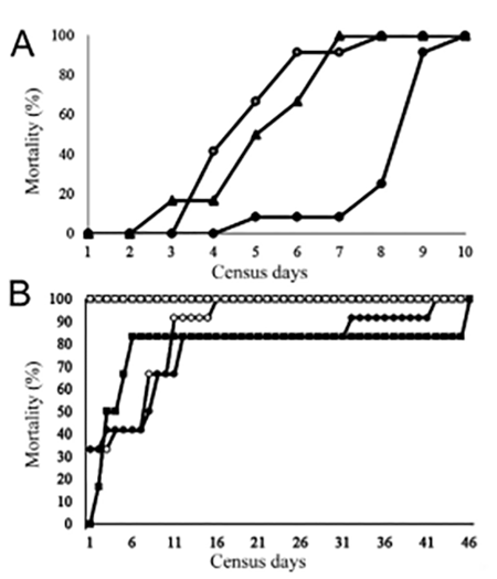 medium/medium-SCIMAR-86-02-e034-gf3.png