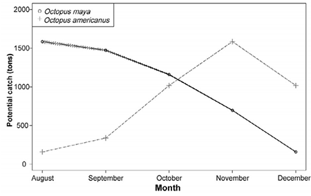 medium/medium-SCIMAR-86-03-e037-gf6.png