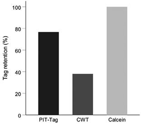 medium/medium-SCIMAR-86-03-e038-gf2.png