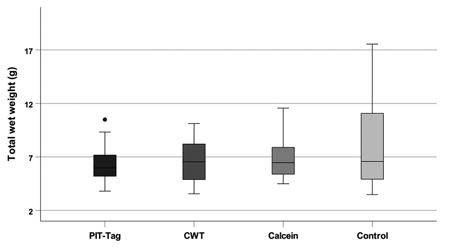 medium/medium-SCIMAR-86-03-e038-gf5.png