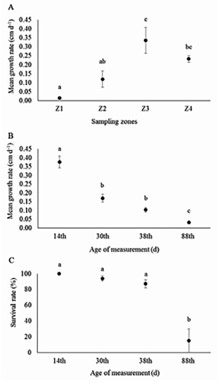 medium/medium-SCIMAR-86-03-e041-gf2.png