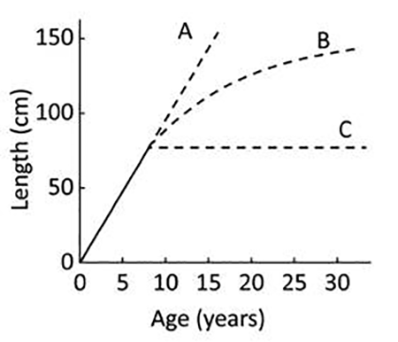 medium/medium-SCIMAR-86-04-e044-gf1.png