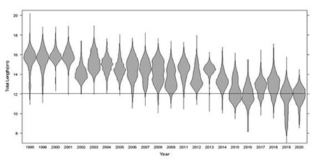 medium/medium-SCIMAR-86-04-e045-gf2.png