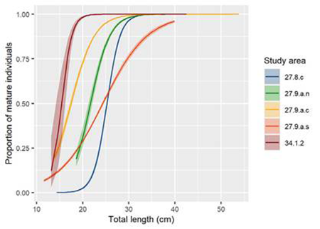 medium/medium-SCIMAR-86-04-e048-gf5.png