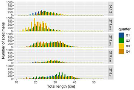 medium/medium-SCIMAR-86-04-e048-gf7.png