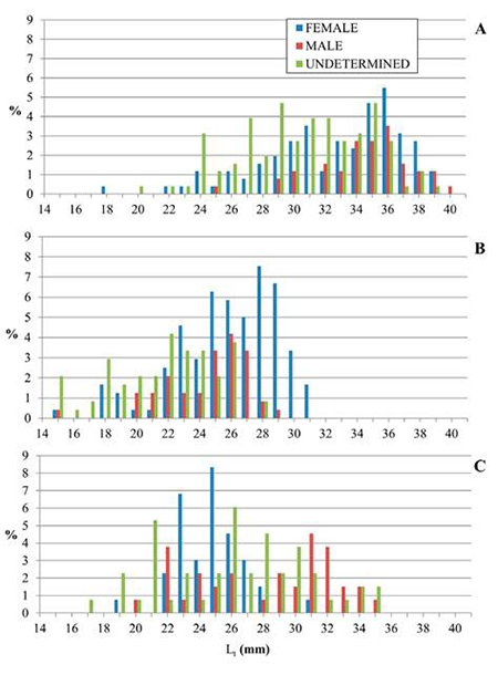 medium/medium-SCIMAR-87-01-e054-gf2.png