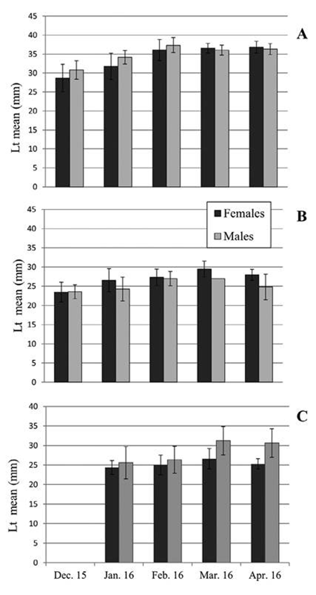 medium/medium-SCIMAR-87-01-e054-gf3.png