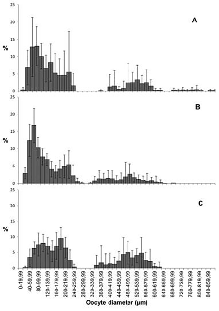 medium/medium-SCIMAR-87-01-e054-gf6.png
