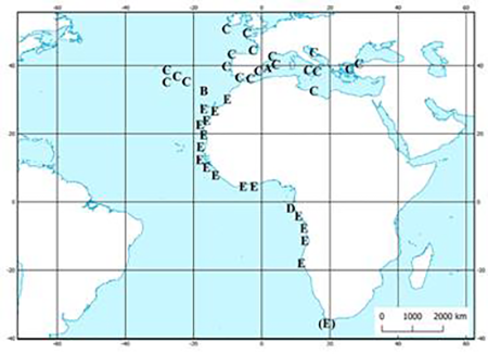 medium/medium-SCIMAR-87-01-e056-gf5.png
