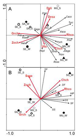 medium/medium-SCIMAR-87-01-e057-gf3.png
